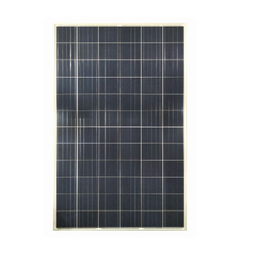 100 W Panel